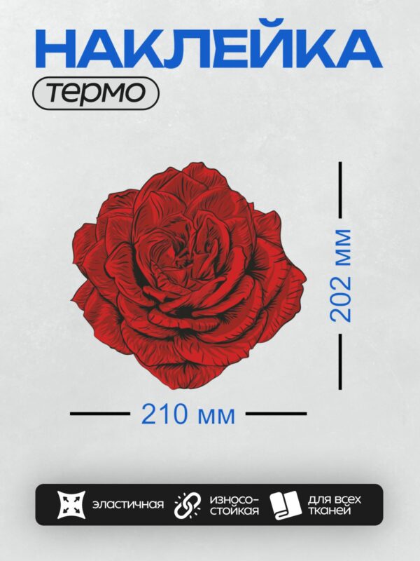 Термонаклейка на одежду DTF / Красная роза, векторная графика на белом фоне.