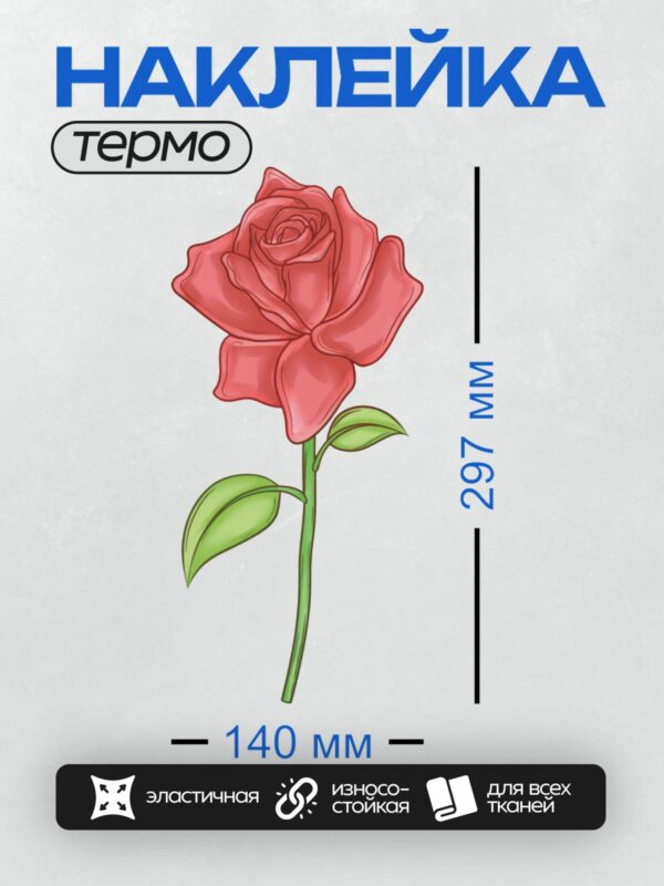 Термонаклейка на одежду DTF / Красная роза с зелёными листьями, векторная графика.