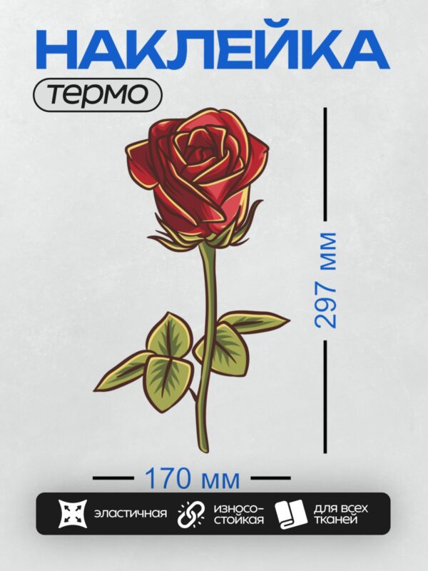 Термонаклейка на одежду DTF / Красная роза с зелёными листьями, векторная графика.