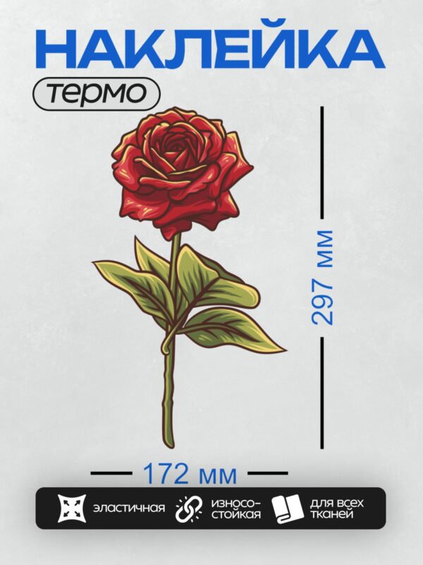 Термонаклейка на одежду DTF / Красная роза с зелёными листьями, векторная иллюстрация.
