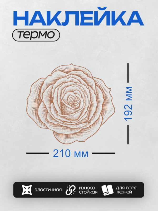 Термонаклейка на одежду DTF / Монохромная векторная иллюстрация розы, выполненная вручную.