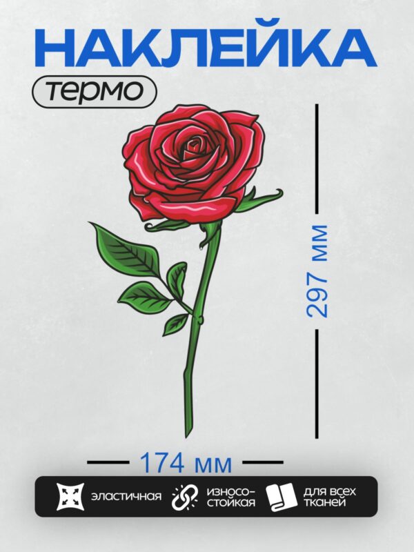 Термонаклейка на одежду DTF / Красная роза с зелёными листьями, векторная иллюстрация.