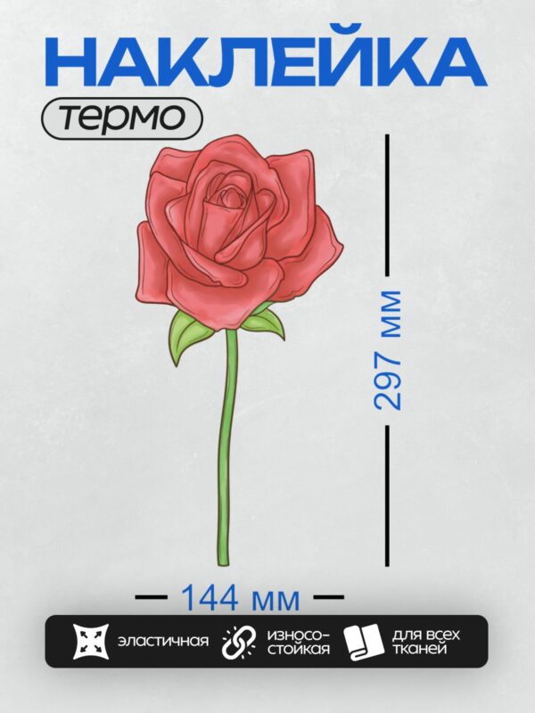 Термонаклейка на одежду DTF / Красная роза с зелёными листьями, векторная иллюстрация.