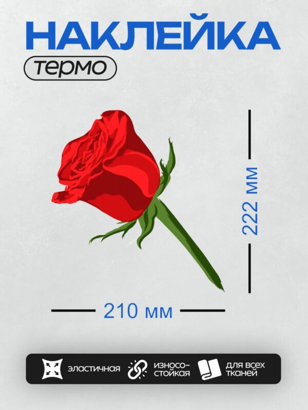 Термонаклейка на одежду DTF / Красная роза, векторная иллюстрация, яркие цвета, минимализм.