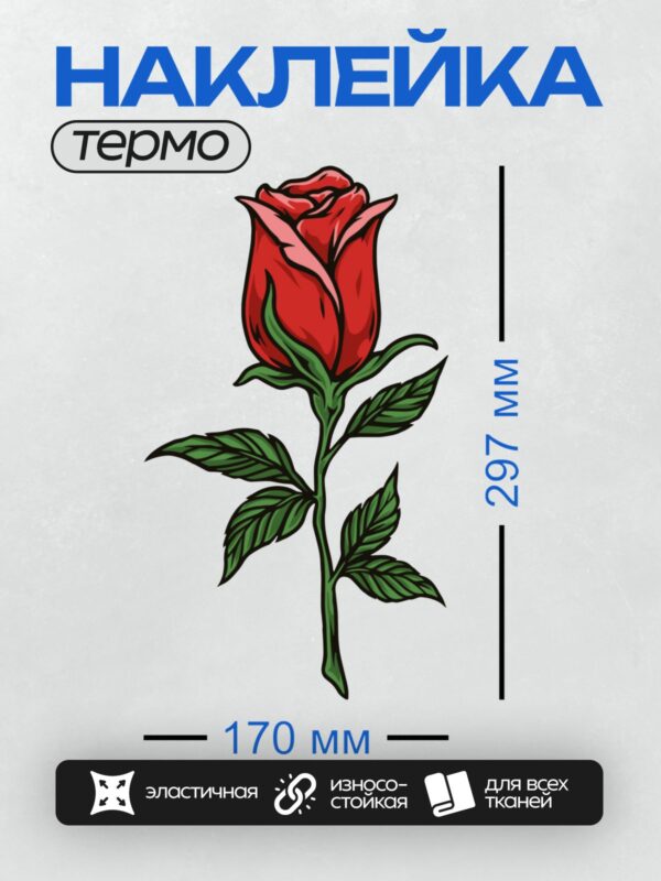 Термонаклейка на одежду DTF / Красная роза с зелёными листьями, векторная иллюстрация.