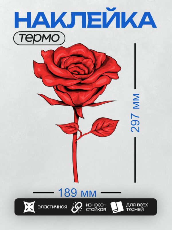 Термонаклейка на одежду DTF / Красная роза с яркими лепестками и листьями.