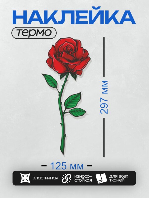 Термонаклейка на одежду DTF / Красная роза с зелёными листьями, векторная иллюстрация.