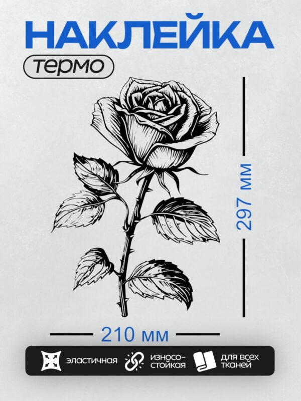 Термонаклейка на одежду DTF / Черно-белая роза с листьями, изящная векторная иллюстрация.