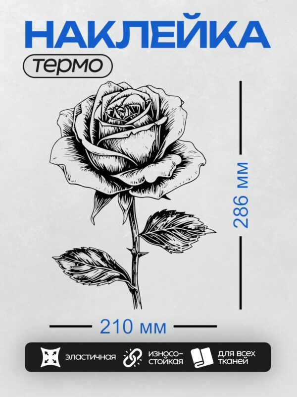 Термонаклейка на одежду DTF / Черно-белая роза с листьями, контурный стиль.