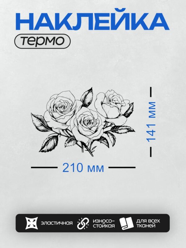 Термонаклейка на одежду DTF / Черно-белые розы с листьями, стилизованный рисунок.