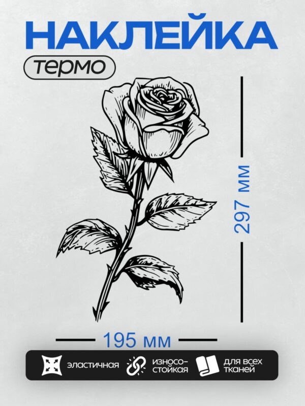 Термонаклейка на одежду DTF / Черно-белая роза с листьями, стилизованный рисунок.