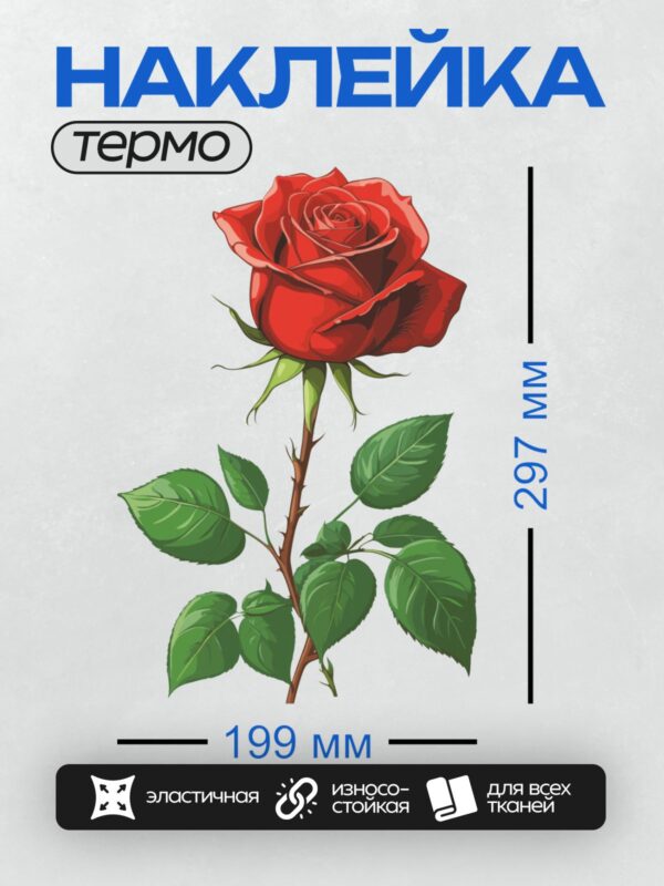 Термонаклейка на одежду DTF / Красная роза с зелёными листьями, яркий и детализированный рисунок.