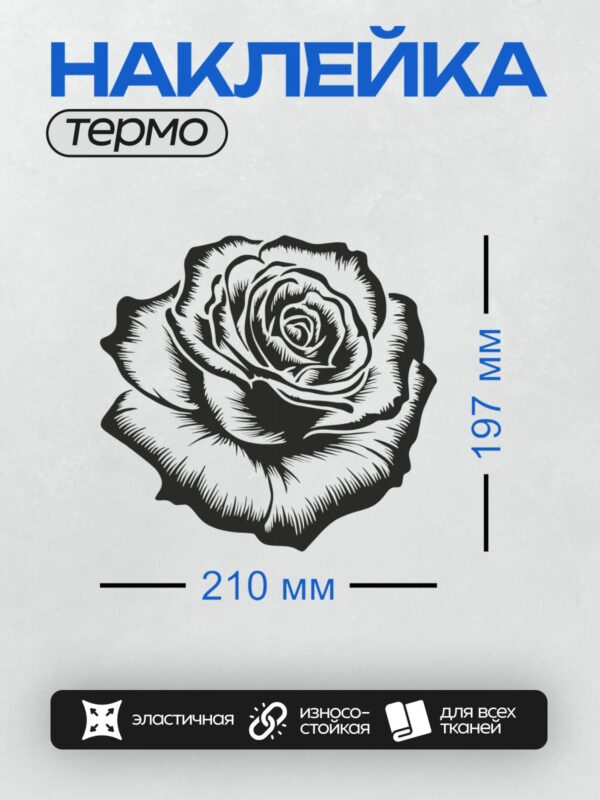 Термонаклейка на одежду DTF / Черно-белая роза, выполненная в графическом стиле.