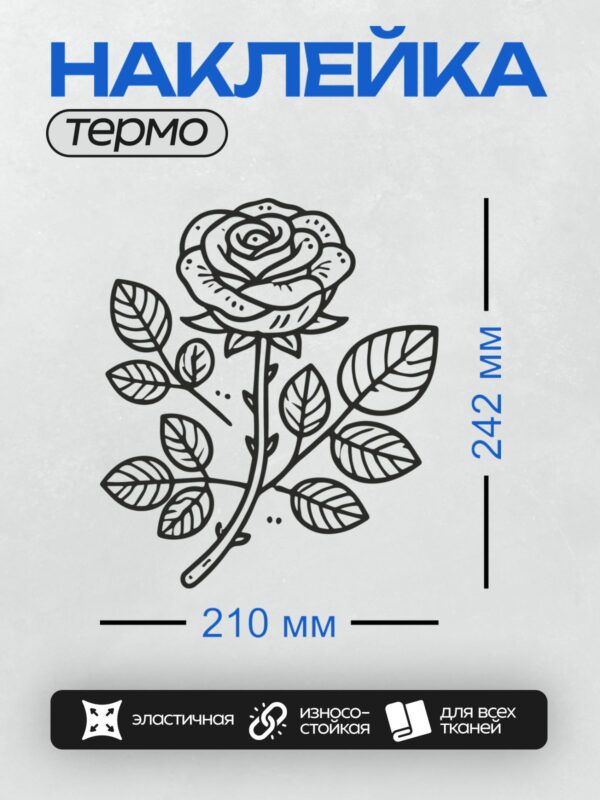 Термонаклейка на одежду DTF / Черно-белая роза с листьями, стилизованный рисунок.