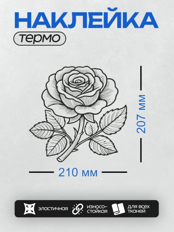 Термонаклейка на одежду DTF / Черно-белая роза с листьями, стилизованный рисунок.