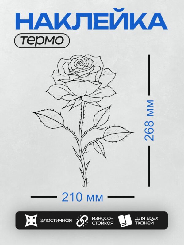 Термонаклейка на одежду DTF / Черно-белая роза с листьями, стилизованный рисунок.