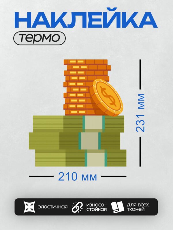 Термонаклейка на одежду DTF / Стопка монет и пачки банкнот, символизирующие богатство.