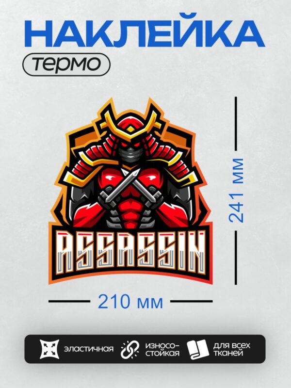 Термонаклейка на одежду DTF / Самурайский воин с черепом и двумя мечами.