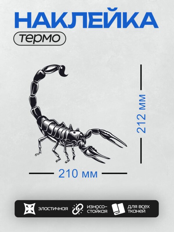 Термонаклейка на одежду DTF / Черно-белый скорпион в абстрактном стиле, динамичный рисунок.
