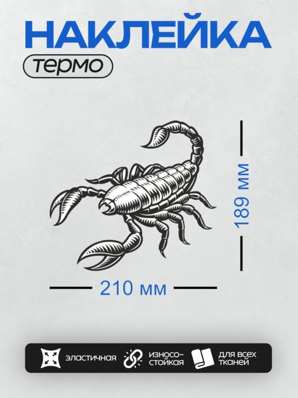 Термонаклейка на одежду DTF / Черно-белый скорпион в абстрактном стиле, динамичный рисунок.