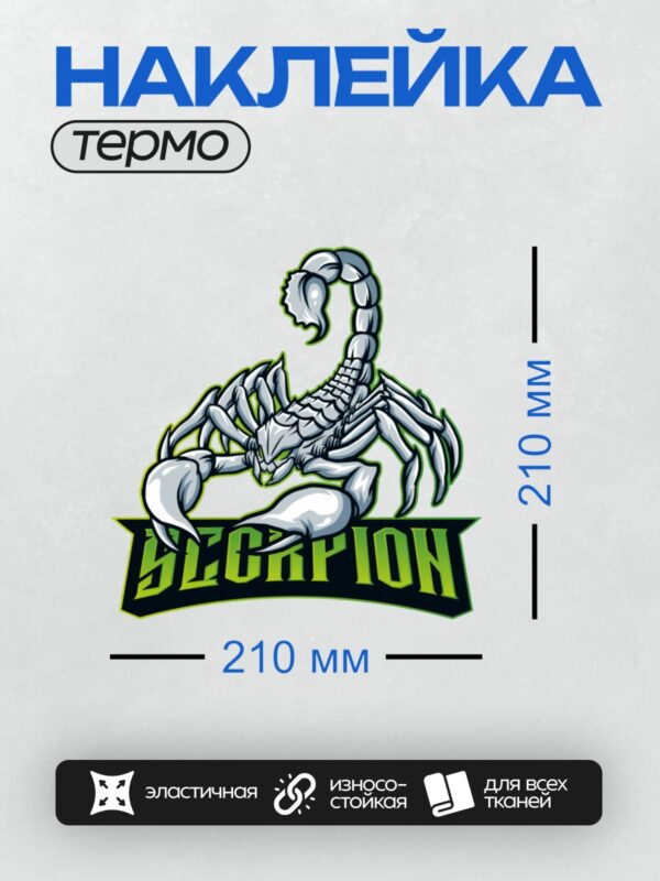 Термонаклейка на одежду DTF / Стилизованный скорпион с надписью "Scorpion".