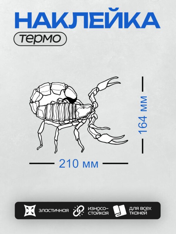 Термонаклейка на одежду DTF / Контурный рисунок скорпиона для раскрашивания.