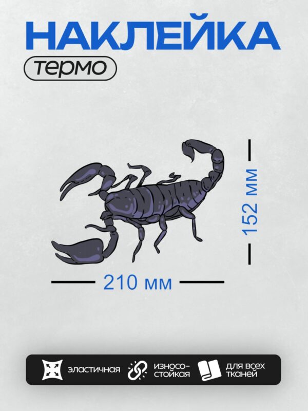 Термонаклейка на одежду DTF / Стилизованный скорпион в графическом стиле, черный цвет.