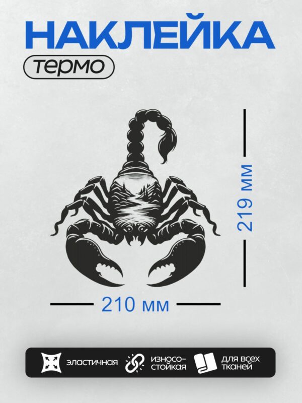 Термонаклейка на одежду DTF / Черно-белый рисунок скорпиона, акцент на деталях.