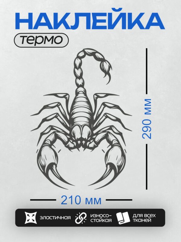 Термонаклейка на одежду DTF / Черно-белый скорпион в стиле трайбл, абстрактный рисунок.