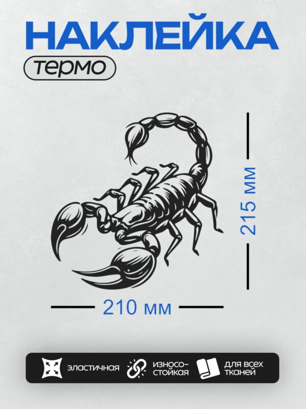 Термонаклейка на одежду DTF / Черно-белый скорпион в агрессивной позе, стилизованный рисунок.