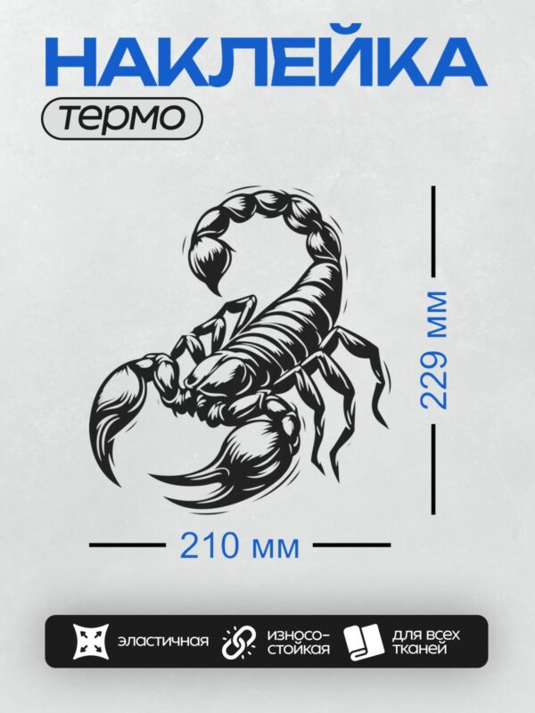 Термонаклейка на одежду DTF / Черно-белый скорпион в абстрактном трайбл-стиле.