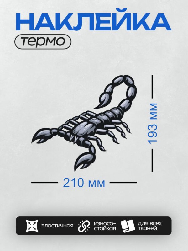 Термонаклейка на одежду DTF / Черно-белый скорпион в динамичной позе, стилизованный рисунок.