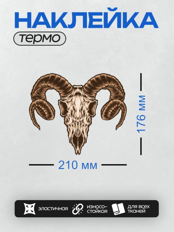 Термонаклейка на одежду DTF / Череп барана с большими изогнутыми рогами.