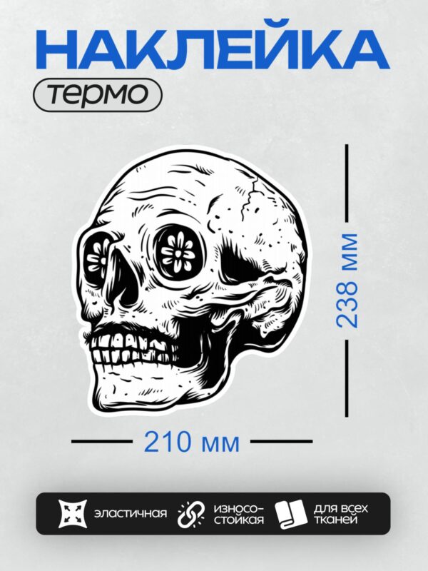 Термонаклейка на одежду DTF / Черно-белый мексиканский череп в стиле калавера.