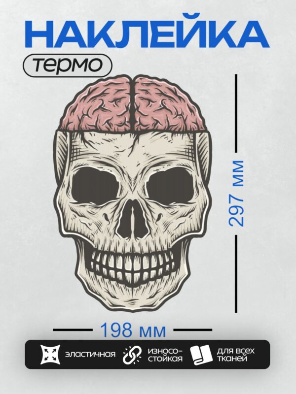 Термонаклейка на одежду DTF / Череп с мозгом, стилизованный рисунок в мультяшном стиле.