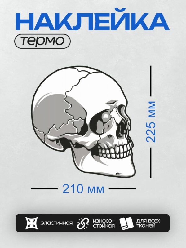 Термонаклейка на одежду DTF / Череп сбоку, стилизованный рисунок в черно-белых тонах.