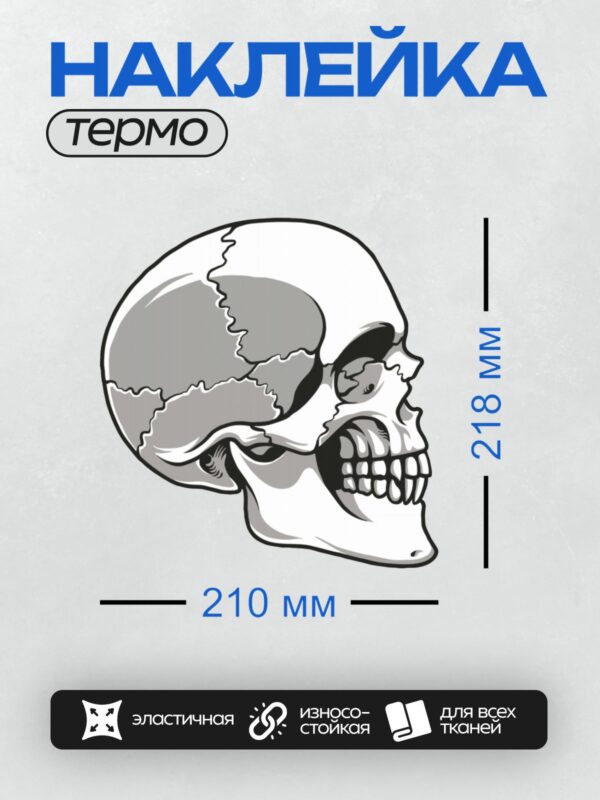 Термонаклейка на одежду DTF / Череп сбоку с трещинами, стилизованный рисунок.