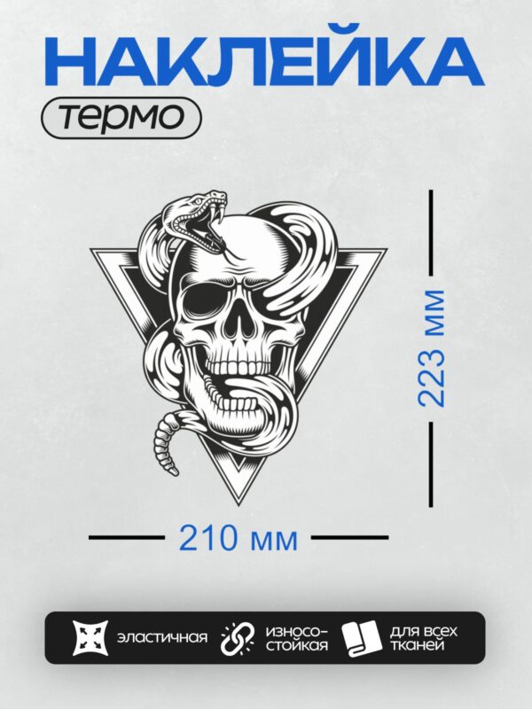 Термонаклейка на одежду DTF / Череп со змеёй в треугольнике, чёрно-белый стиль.
