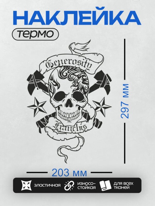 Термонаклейка на одежду DTF / Стилизованный череп с рогами, звездами и надписями.