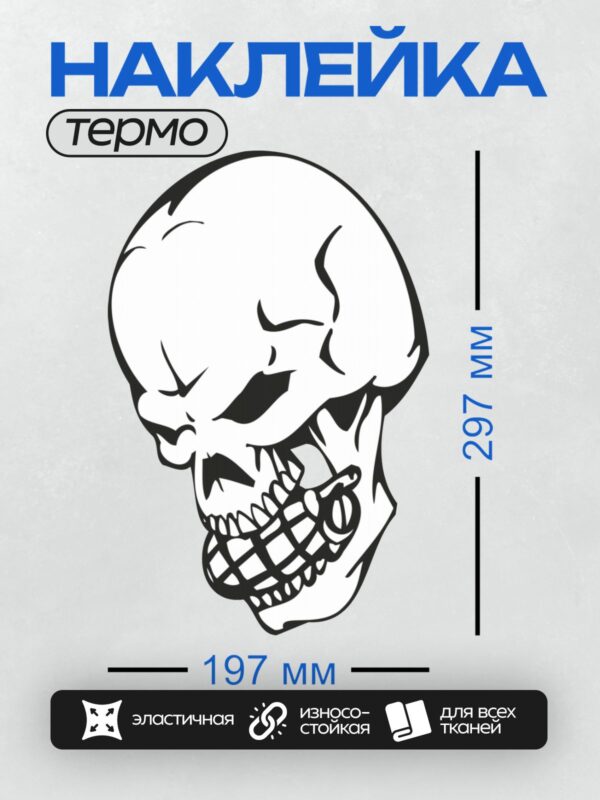 Термонаклейка на одежду DTF / Стилизованный череп с короной и крыльями, черно-белый арт.