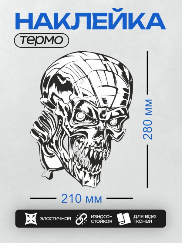 Термонаклейка на одежду DTF / Стилизованный череп в шлеме викинга, черно-белый арт.