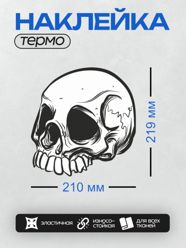 Термонаклейка на одежду DTF / Черно-белый череп в стиле граффити с динамичными линиями.