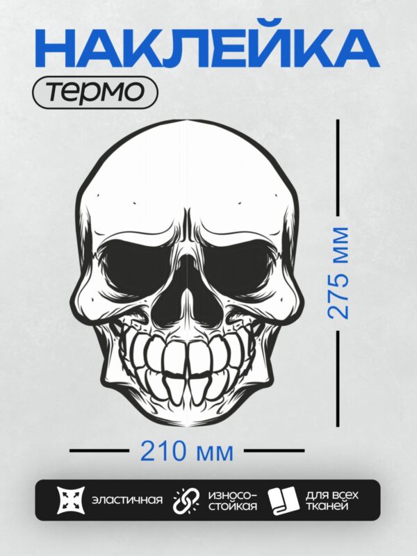 Термонаклейка на одежду DTF / Стилизованный череп с абстрактным узором и рогами.