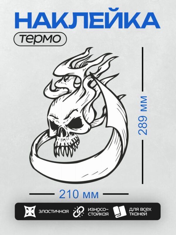 Термонаклейка на одежду DTF / Стилизованный череп, окружённый языками пламени.
