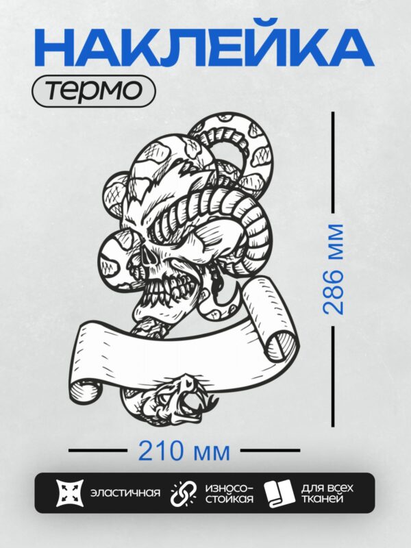 Термонаклейка на одежду DTF / Череп в шлеме, окружённый змеёй, с пустым свитком.