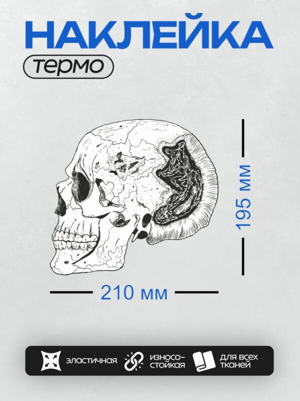 Термонаклейка на одежду DTF / Стилизованный человеческий череп сбоку с абстрактными элементами.