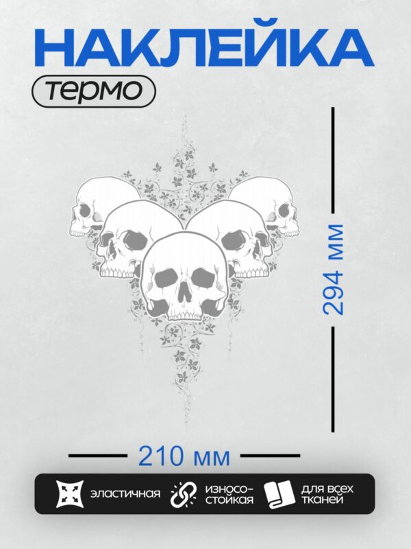 Термонаклейка на одежду DTF / Стилизованные черепа с цветочным орнаментом.