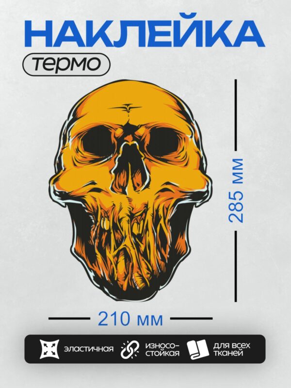 Термонаклейка на одежду DTF / Стилизованный череп с языками пламени, яркий и динамичный.