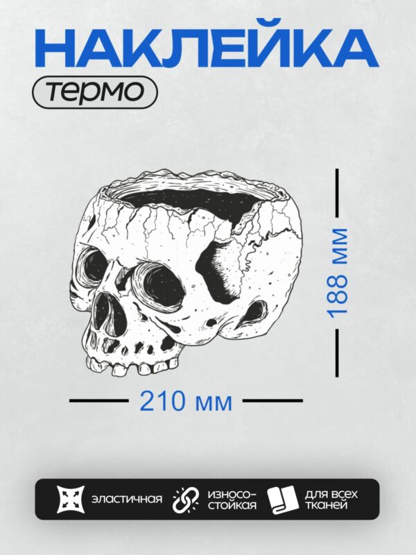 Термонаклейка на одежду DTF / Череп в виде чаши, нарисованный в стиле эскиза.