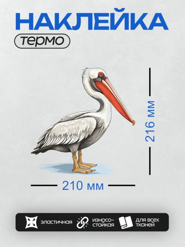 Термонаклейка на одежду DTF / Белый пеликан с длинным красным клювом стоит на воде.